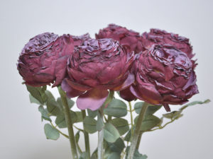 VARA PEONIA DRY BURDEOS 58CM