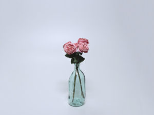 VARA ROSA INGLESA FUCSIA