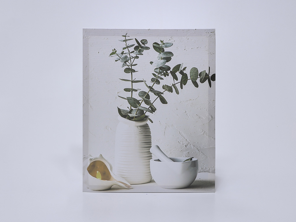 CUADRO NATURE EUCALIPTO C 40X50