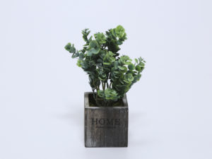 MACETA MADERA CON EUCALIPTO VERDE