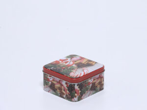 CAJA LATA GALLETAS CUADRADA 12X12X6
