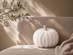 COJIN CALABAZA 24X20 BLANCO