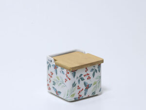SALERO PORCELANA ACEBO
