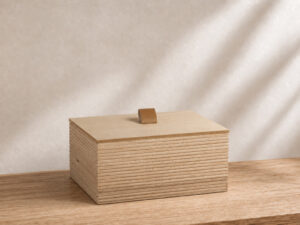 CAJA MADERA LINE TIRADOR PIEL 20X15X10