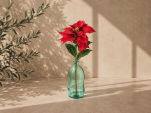FLOR PASCUA TELA ROJO 74CM