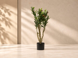 PLANTA ARTIFICIAL OLIVO 80CM