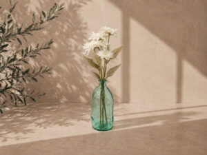 VARA GERBERA X4 CREMA